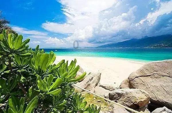 金属性和非金属性的概念-专业知识问答网页,提供全面解答